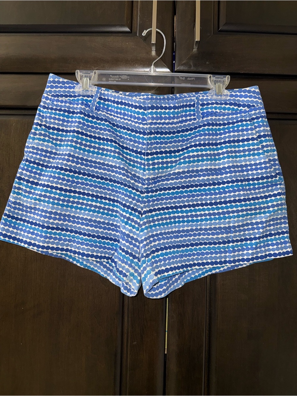 Banana Republic Blue Dot Stripe Women’s Shorts